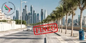 Common Traffic Violations
