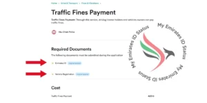Emirates ID and Vehicle Registration
