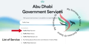 Traffic Fines Statement