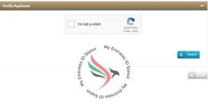 dubai visa fine check