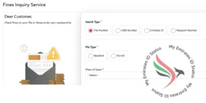 how to check overstay fine in uae