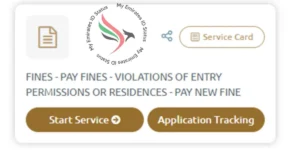 icp overstay fine check