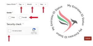 visa fine check dubai