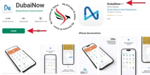 DubaiNow App