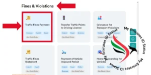 Fines & Violations