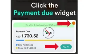 Pay All