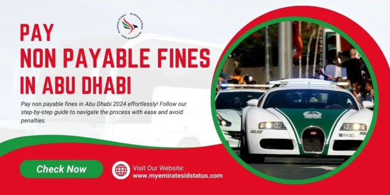UAE How to Pay Non Payable Fines in Abu Dhabi 2024