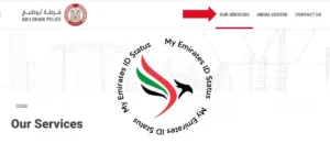 our services