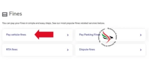 Pay vehicle fines