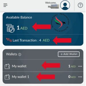 enter the amount you want to recharge