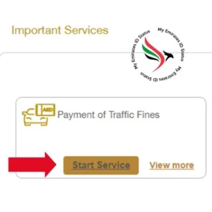 moi Payment of Traffic Fine
