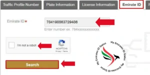 write your Emirates ID
