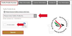 write your traffic profile number